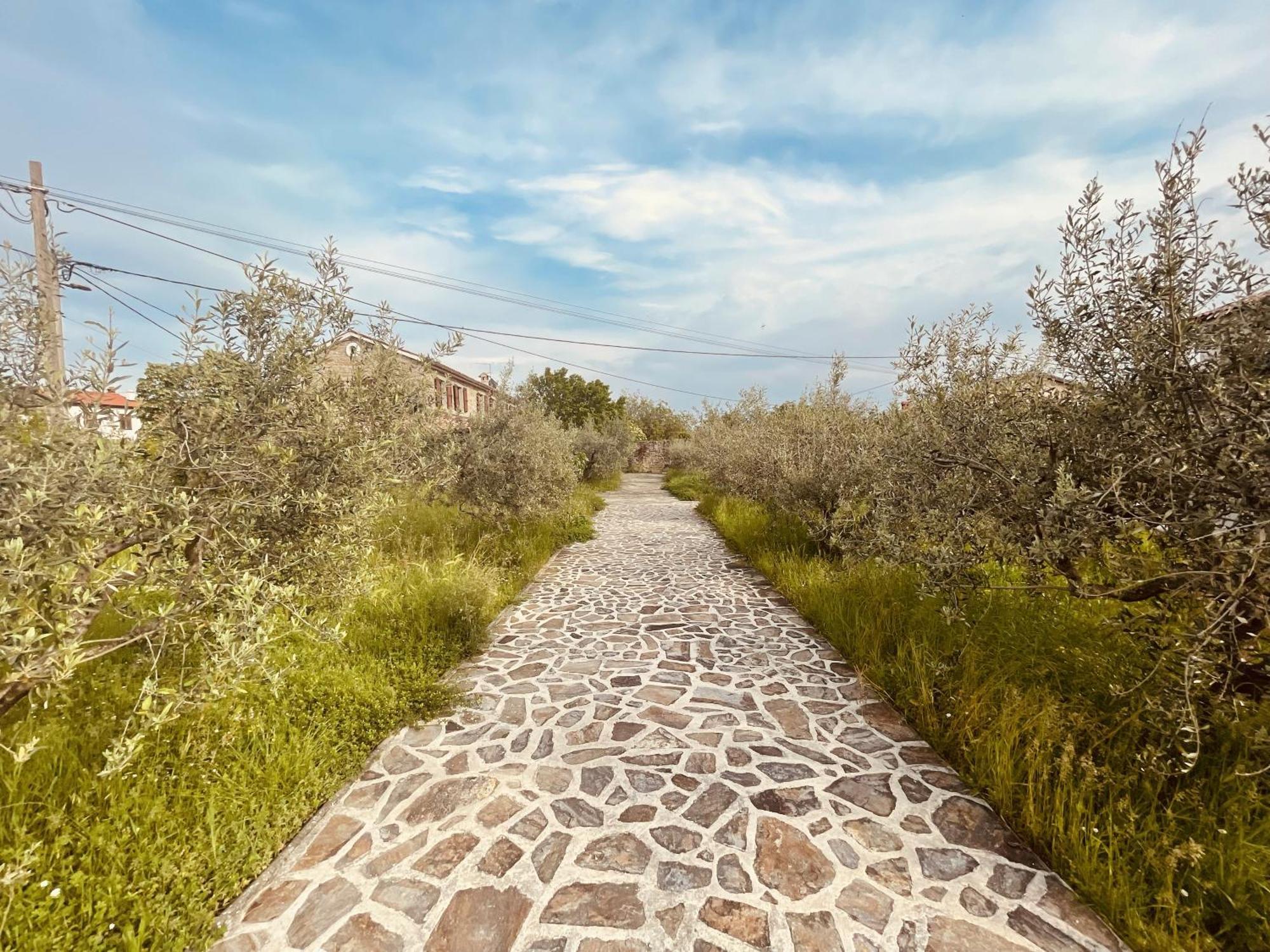 Paradise Villas With Swimming Pool Koper Zimmer foto