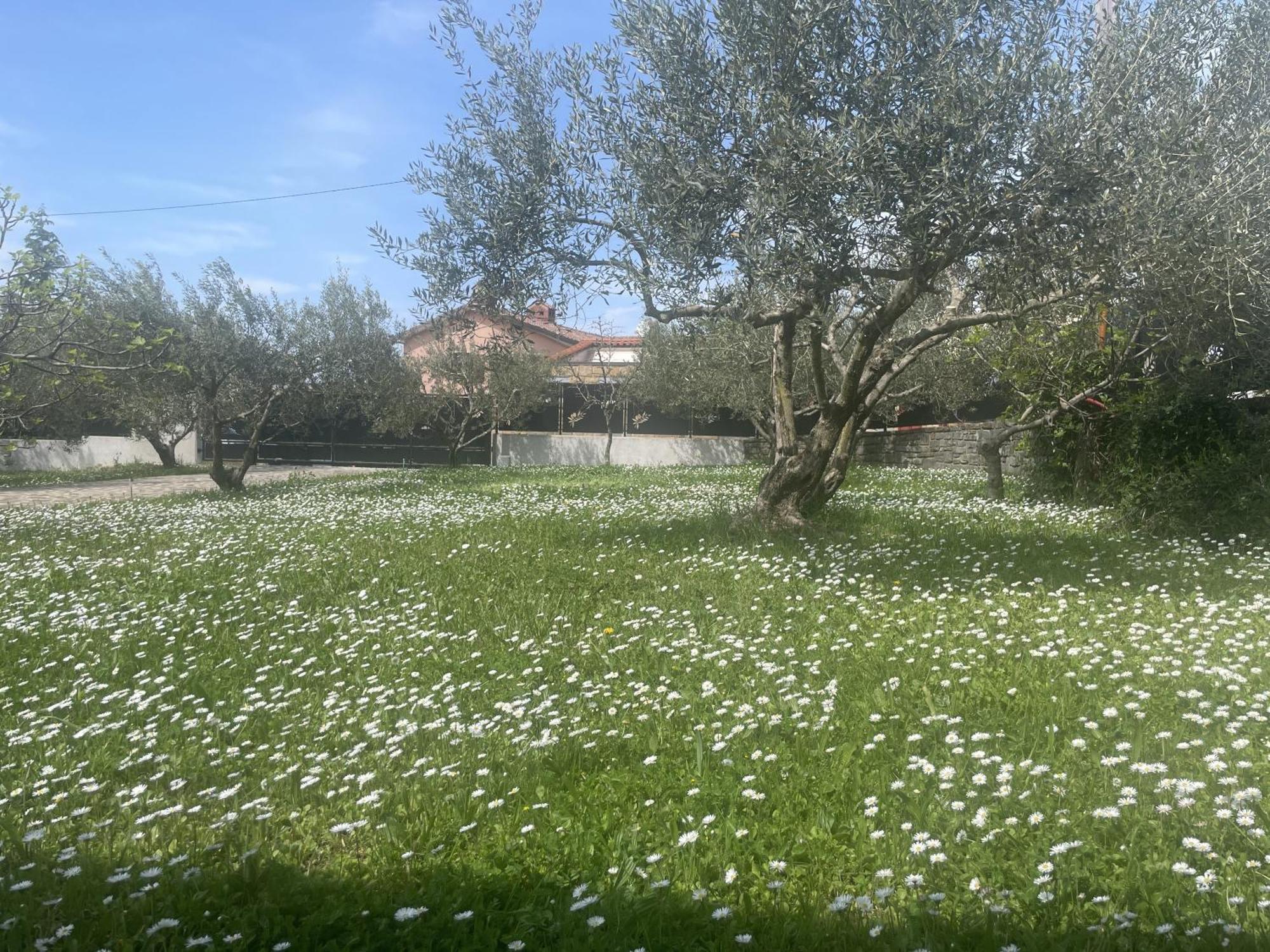 Paradise Villas With Swimming Pool Koper Zimmer foto